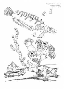 Раскраска подводный мир / рыба и водоросли на дне морском