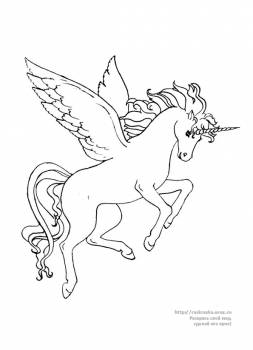 Раскраска крылатый конь Пегас
