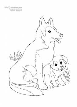 Раскраска собака и щенок
