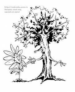 Раскраска цветок ромашка и дерево