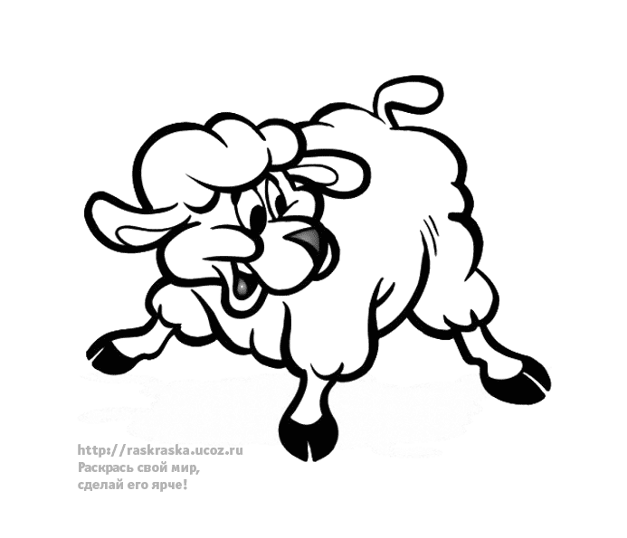 Раскраска веселая овечка