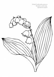 Раскраска цветок ландыш