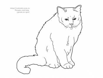 Раскраска сидящий кот