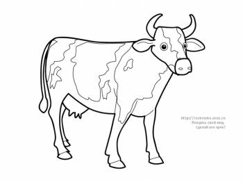 Раскраска стоящая корова