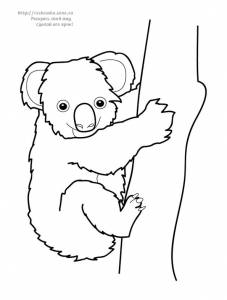 Раскраска коала лезет на дерево
