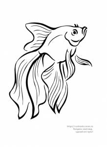 Раскраска золотая рыбка