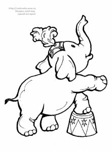 Раскраска слон в цирке