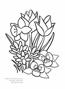 Раскраска букет цветов (тюльпаны, нарциссы)