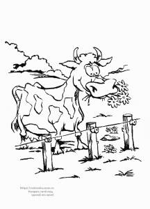 Раскраска корова пасется на лугу