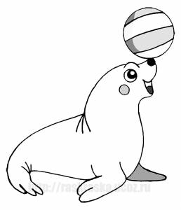 Раскраска тюлень с мячом