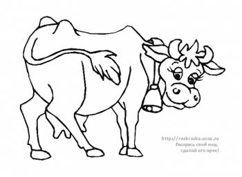 Раскраска пасущаяся корова
