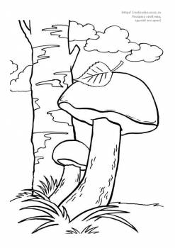 Раскраска гриб подберезовик