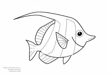Раскраска рыба
