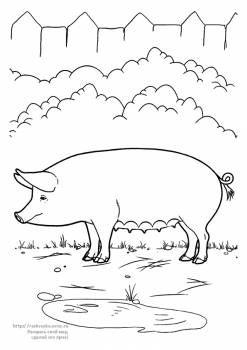 Раскраска свинья гуляет во дворе