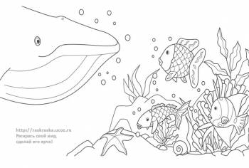 Раскраска кашалот с рыбами на морском дне