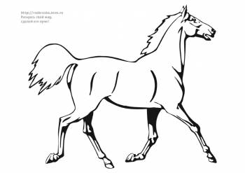 Раскраска бегущая лошадь