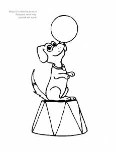 Раскраска собака играет в цирке с мячом