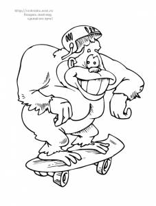 Раскраска обезьяна катается на скейтборде