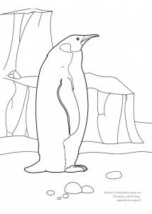 Раскраска пингвин на льдине