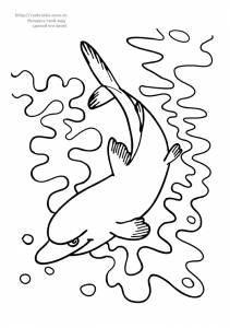 Раскраска плывущий дельфин