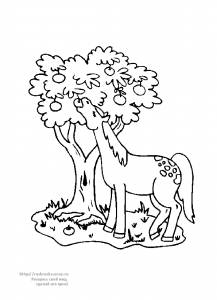 Раскраска лошадь ест яблоки с дерева